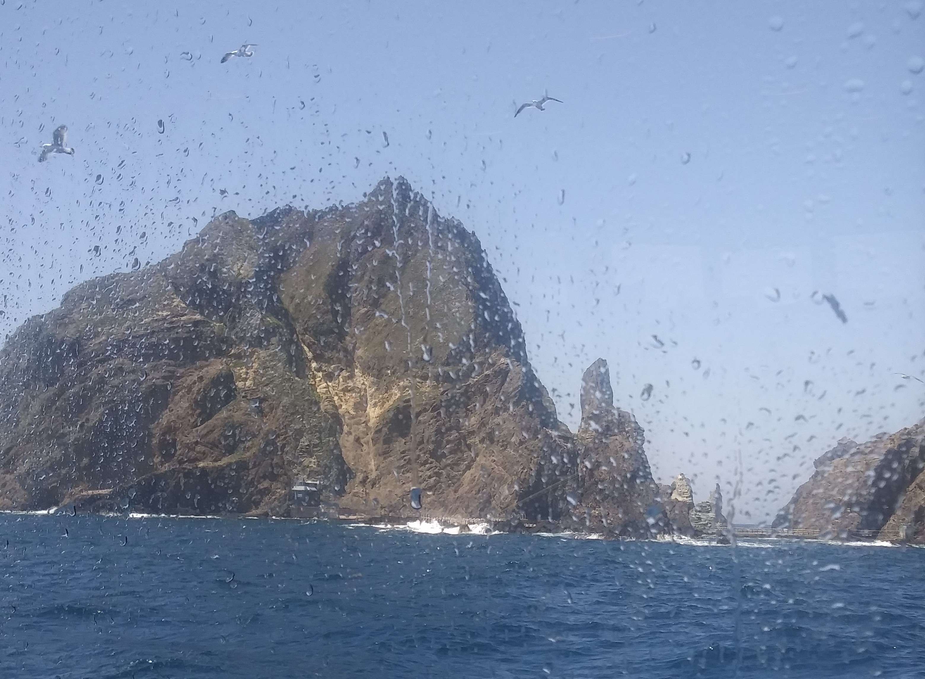 20190522_132331~2.jpg